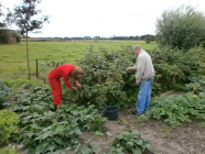 foto Logeerhuis advertentie Zorgboerderij De Kleine Weide in Zwartebroek