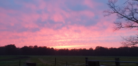 foto Dagbesteding advertentie Marieke in Dinxperlo
