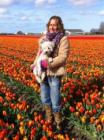foto Zorgboerderij advertentie Ilma yoga & coaching in Zwanenburg