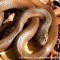 foto Boodschappen hulp advertentie Mooliid in Vierpolders