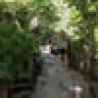 Foto van hulp Margriet in Hulst