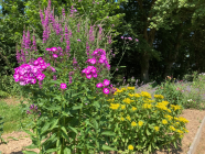 Foto van hulp D&eacute;borah in Groningen