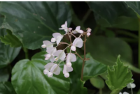 Foto van hulp Mischa in Amsterdam