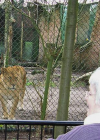 Foto van hulpvrager Henny in Amersfoort