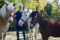 Foto van hulp Individuele begeleiding in Hekelingen