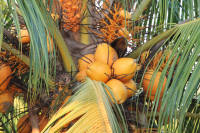 Foto van hulp Marije in Winschoten