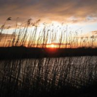 foto Administratieve hulp advertentie Janny in De Glind
