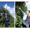 foto Dagbesteding-wonen advertentie Cindy in Ens