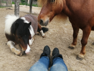 Foto van hulp Willeke in Zorgvlied