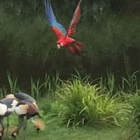 Foto van hulp L in Eemnes