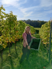 Foto van hulp Anita in Gouda