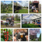 foto Dagbesteding advertentie Zorgkwekerij de moestuin in Boskoop