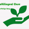 foto Nanny advertentie Multilingual Care | Meertalige Zorg in Delft