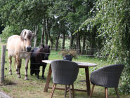 Foto van hulpvrager Monique in putten