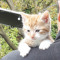 Foto van hulpvrager T. in Smilde