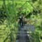 Foto van hulpvrager Sjanne in De Lutte