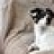 foto Aangepaste vakanties advertentie Linda in Sauwerd