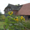 foto Logeerhuis advertentie Zorgboerderij de Reube in Wilp