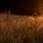 Foto van hulp Evelien in Zwolle