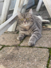 Foto van hulpvrager Ilse in Zoetermeer