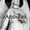 foto Begeleiding advertentie Ambulink in Hattemerbroek