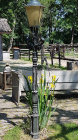 Foto van hulp Jorine in Zuidwolde