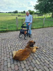 Foto van hulpvrager A in Vlaardingen