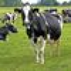 foto Gastouder vacature Diana in Daarlerveen