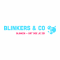 foto Strijken/wassen advertentie Blinkers & CO in Valthermond