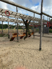 Foto van hulpvrager Vicky in Heesch