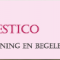 foto Huishoudelijke hulp advertentie Domestico ondersteuning en begeleiding thuis in Zwolle