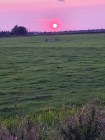Foto van hulpvrager Cynny in Westzaan